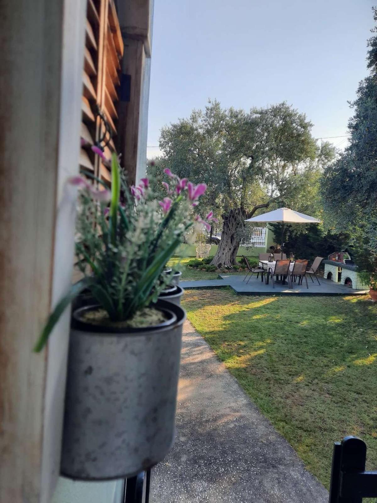 Villa Elia Skala Sotiros Exterior foto