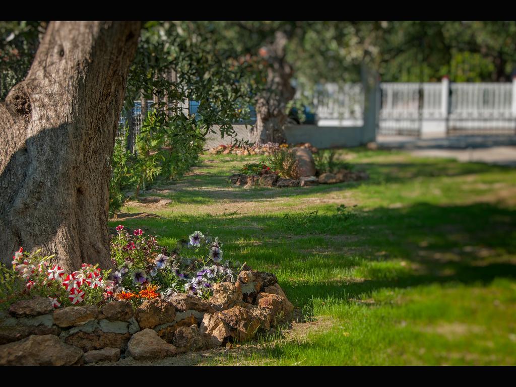 Villa Elia Skala Sotiros Exterior foto